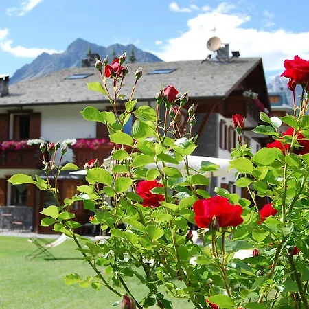 Gardenia Appartement